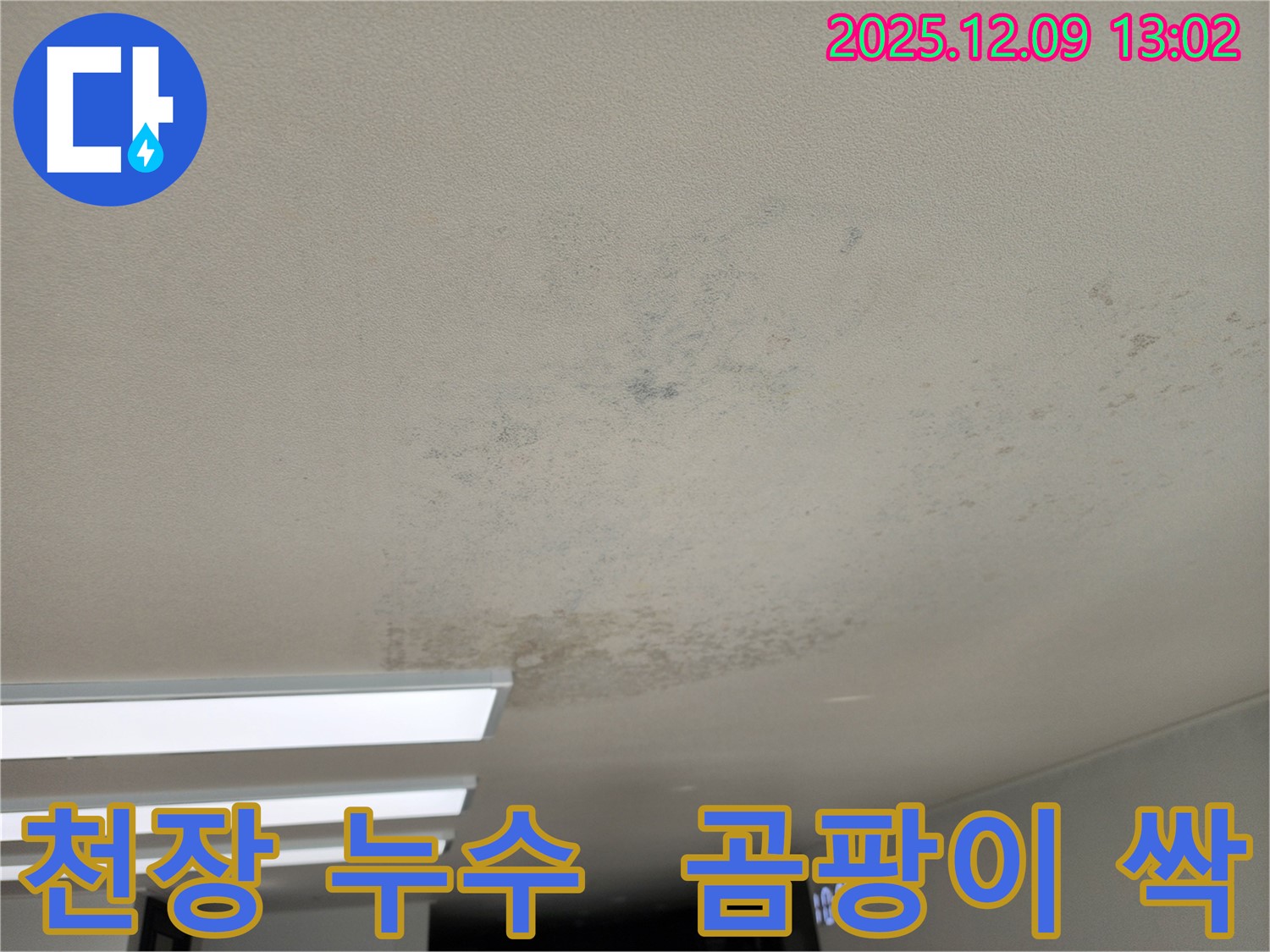 영중면 성동리 천장 누수 - 곰팡이 싹! 누수 확실히 잡고 깨끗하게 청소까지!