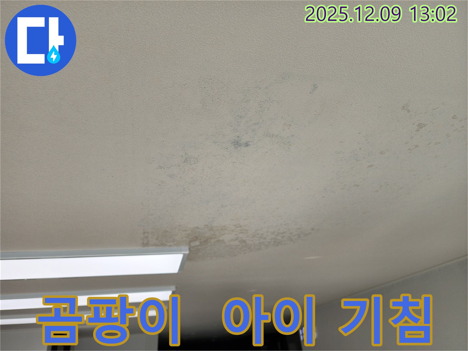 영중면 성동리 천장 누수 - 천장 누수, 곰팡이 때문에 아이가 자꾸 기침을 한다면 누수를 의심하세요.