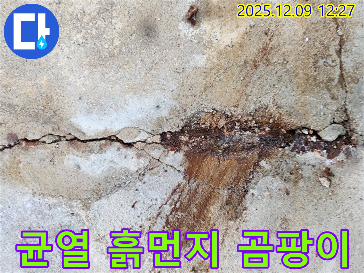 영중면 성동리 콘크리트 바닥 균열 - 흙먼지와 습기가 만나 곰팡이 천국이 될 수 있습니다!