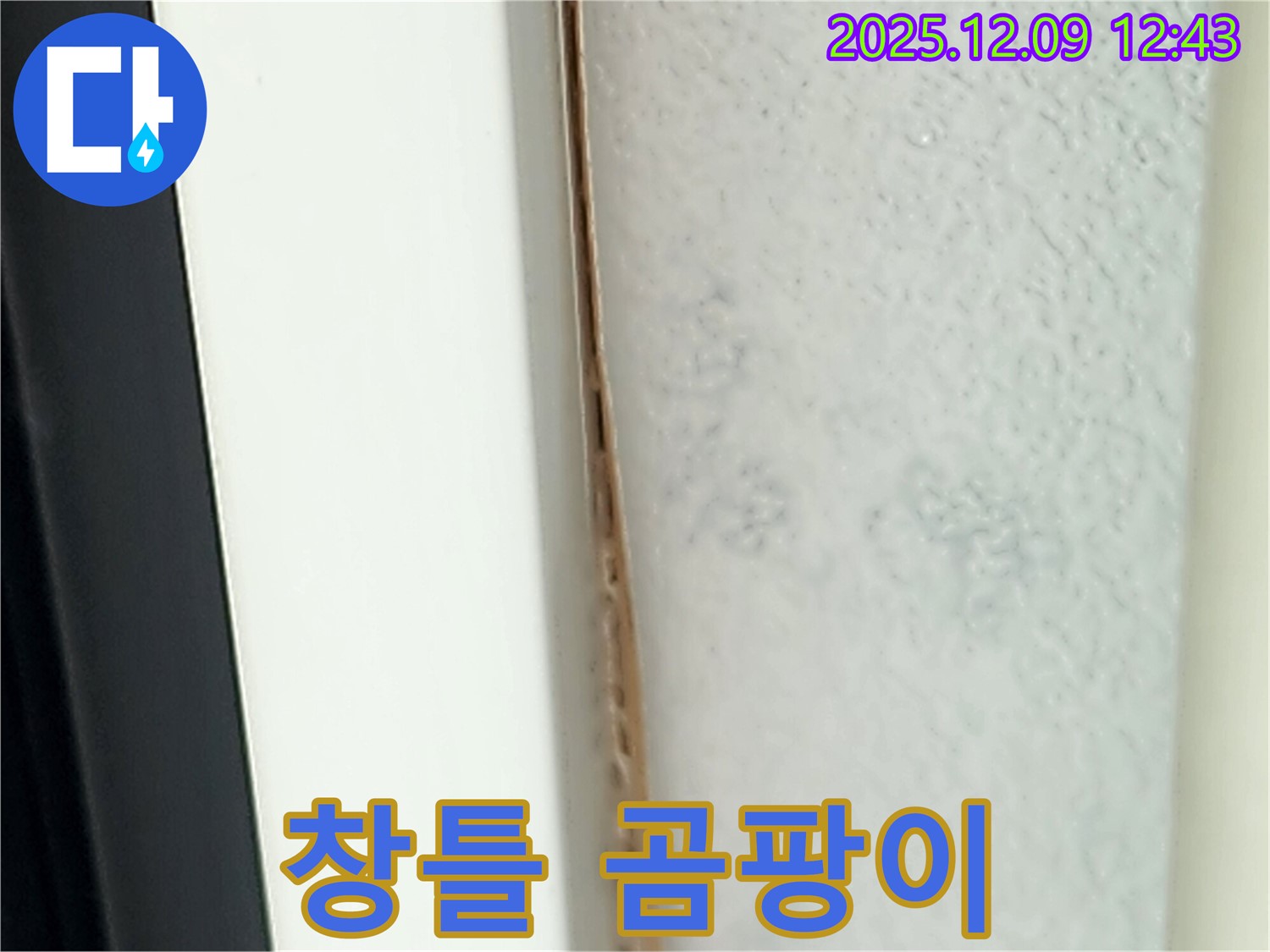 창틀 곰팡이 - 실리콘 재시공으로 해결해야 합니다.