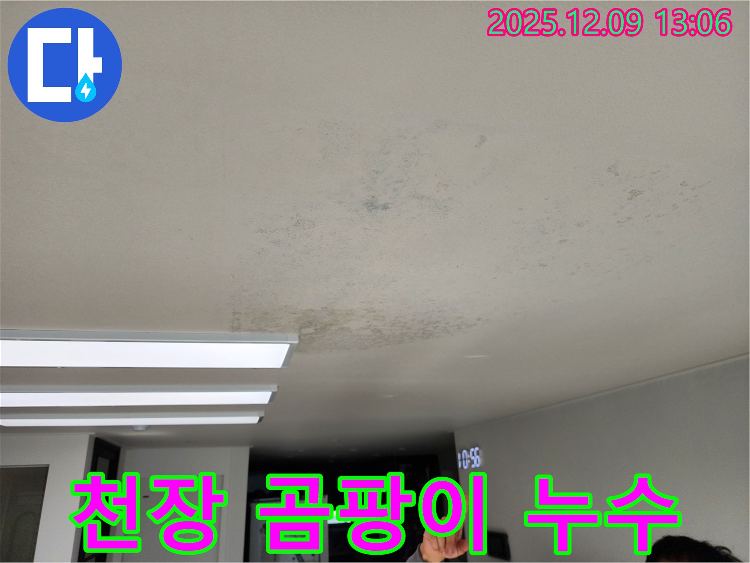 천장 곰팡이 누수 - 포천시 영중면에서 발생한 누수로 인한 천장 곰팡이 문제를 긴급 점검하고 있습니다.