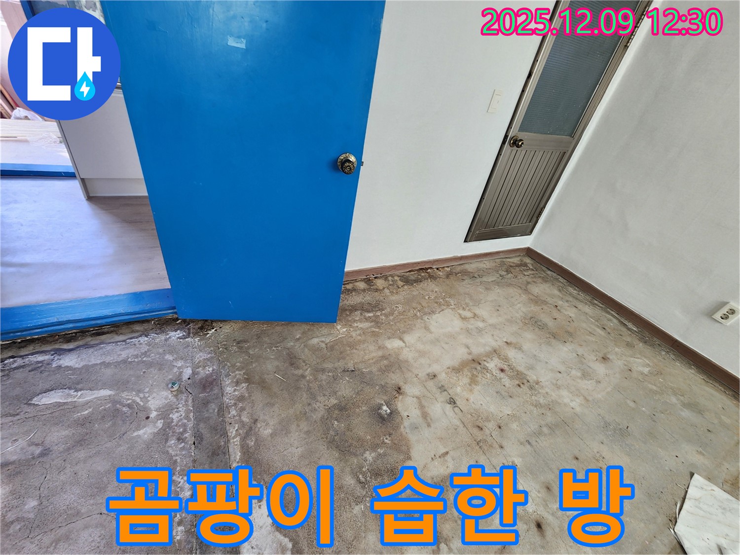 포천 영중면 곰팡이 핀 습한 방 누수 - 쾌적한 공간으로 변신