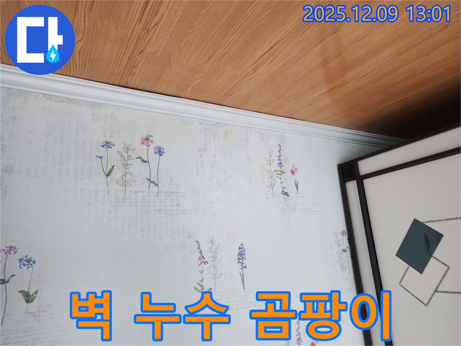 포천 영중면 누수 현장 - 벽에 스며든 물과 곰팡이 초기 증상
