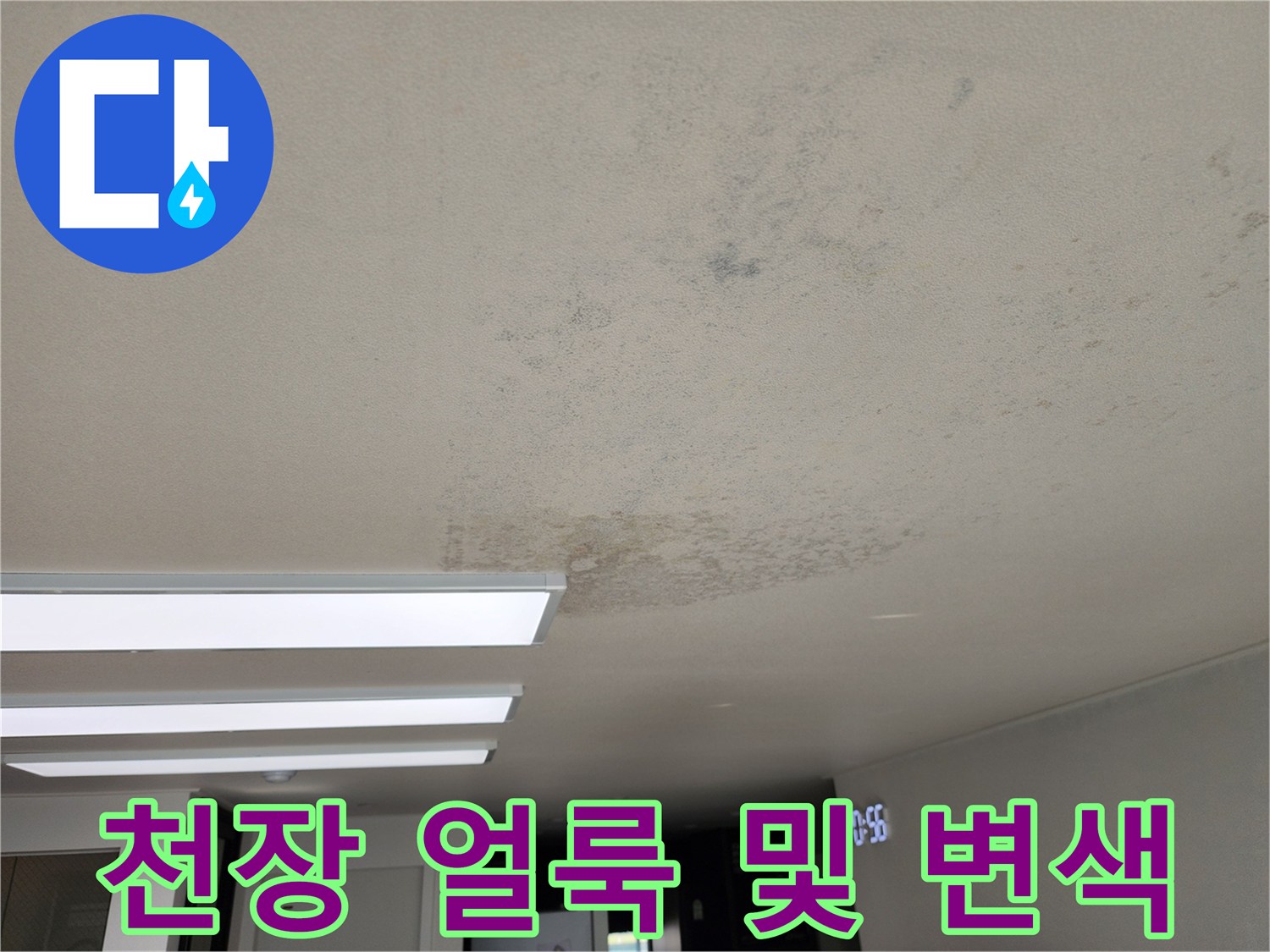 포천 영중면 현장의 천장 얼룩과 곰팡이 발생 상태를 보여주는 사진입니다.