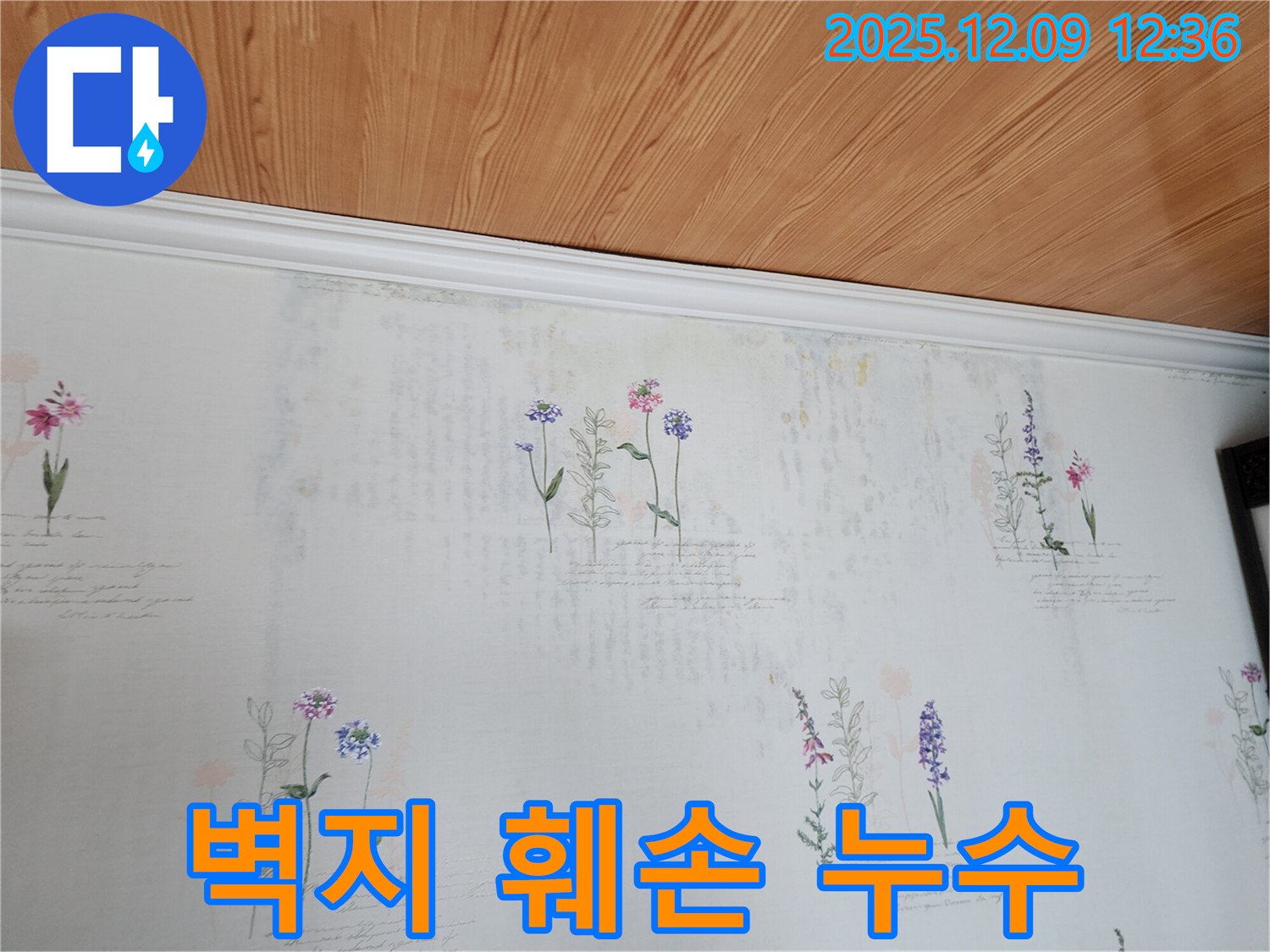 포천시 영중면 성동리 누수 현장 - 벽지 훼손과 곰팡이 포자 확산을 막는 누수탐지 및 공사 과정