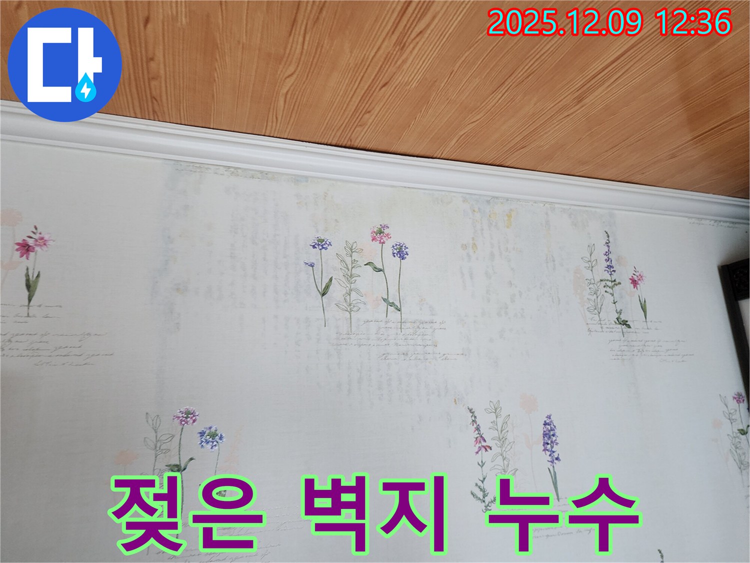 포천시 영중면 성동리 누수 현장 - 젖은 벽지와 곰팡이 문제를 해결하는 누수탐지 및 공사 과정