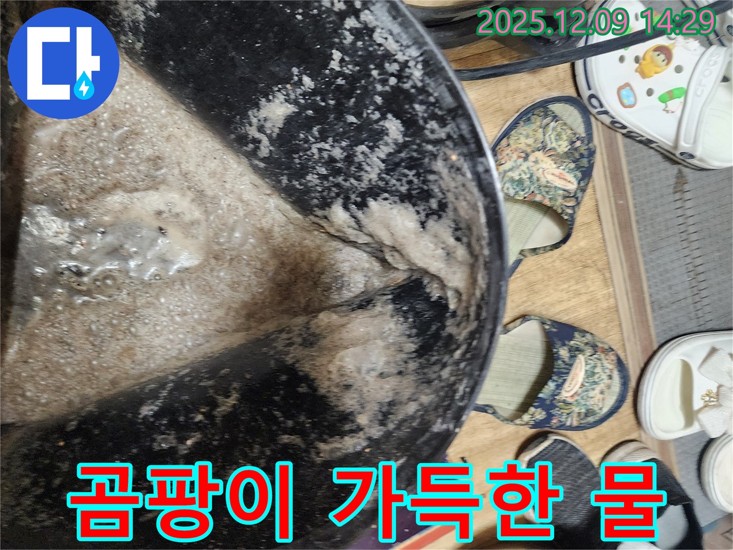 금주리 누수 - 곰팡이 가득한 오염된 물, 누수 해결 전문가의 진단