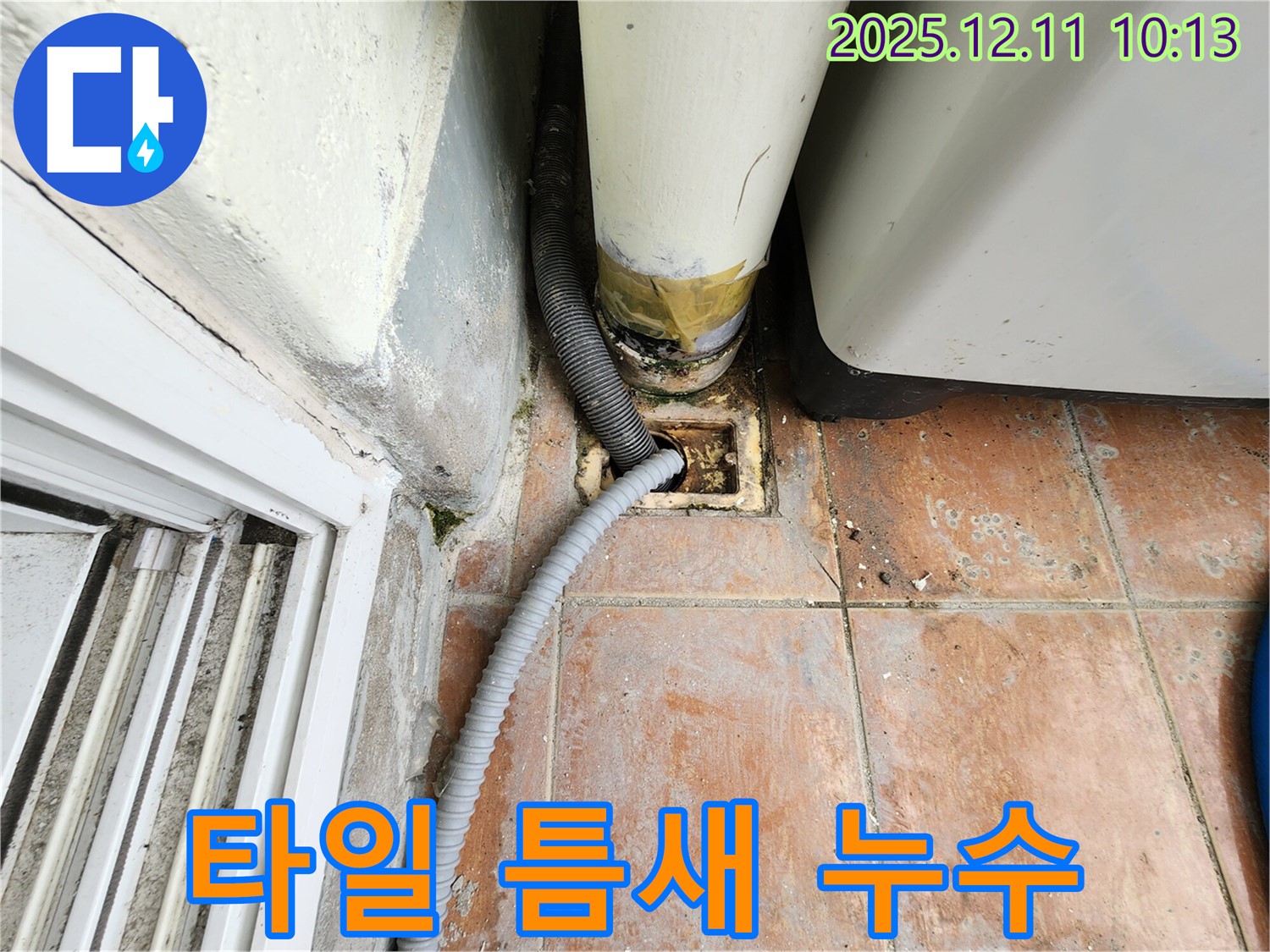 세탁실 배수구 주변 타일 틈새 누수 - 타일 틈새가 벌어지고 방수층이 손상되어 누수가 발생하고 있습니다.