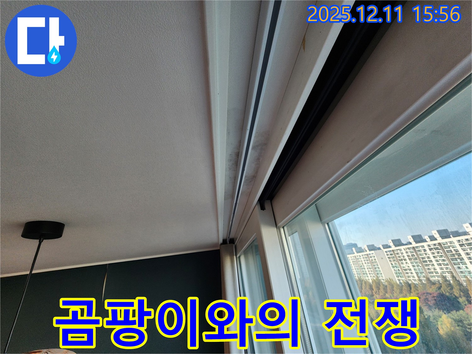 포천시 영중면 샷시 곰팡이 - 누수를 잡고 곰팡이와의 전쟁에서 승리!