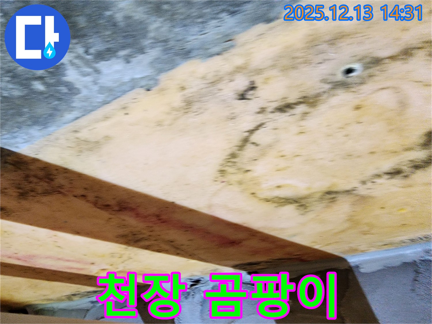 반포리체 아파트 천장 곰팡이 - 누수로 인한 습기로 곰팡이가 심하게 번식