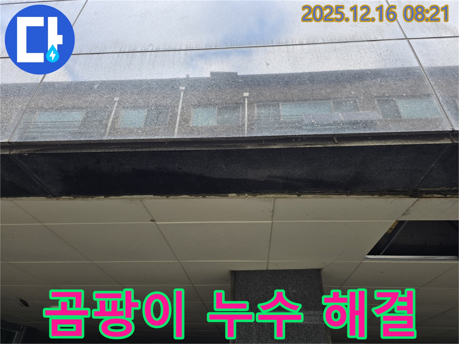 신현동 건물 외부 누수 곰팡이 해결 - 쾌적한 환경 복구