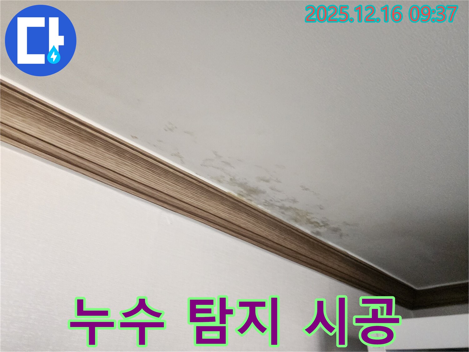 경기도 포천시 누수 - 곰팡이 핀 천장, 누수 탐지부터 완벽 시공까지 원스톱!