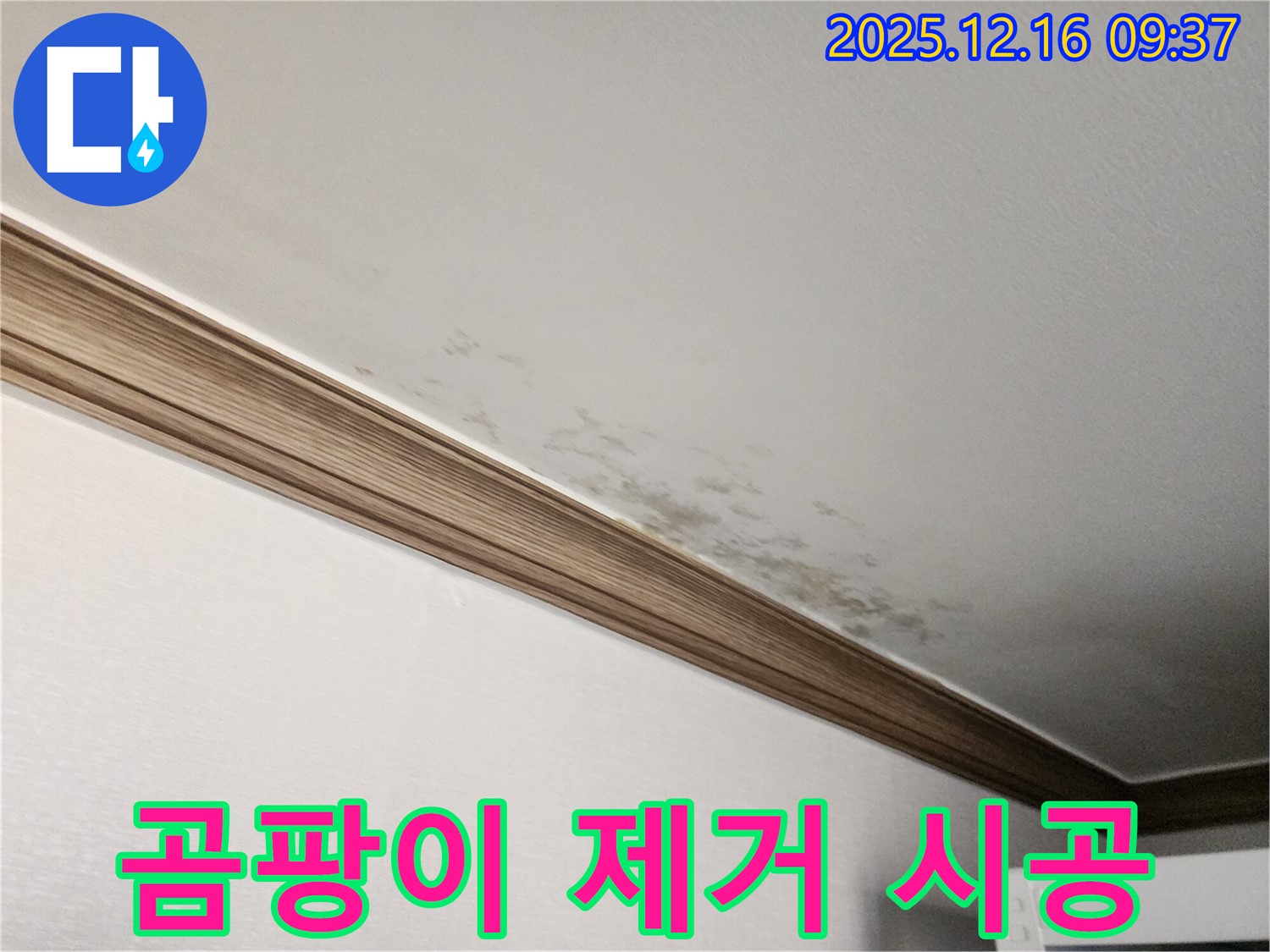 경기도 포천시 영북면 누수 - 천장과 몰딩 곰팡이, 누수 해결 후 곰팡이 걱정 싹
