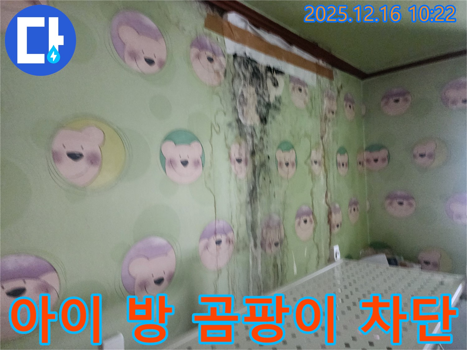 경기도 포천시 영북면 운천2리 아이 방 벽면의 곰팡이 - 곰팡이 완벽 차단 시스템 구축, 쾌적한 공간으로 변신