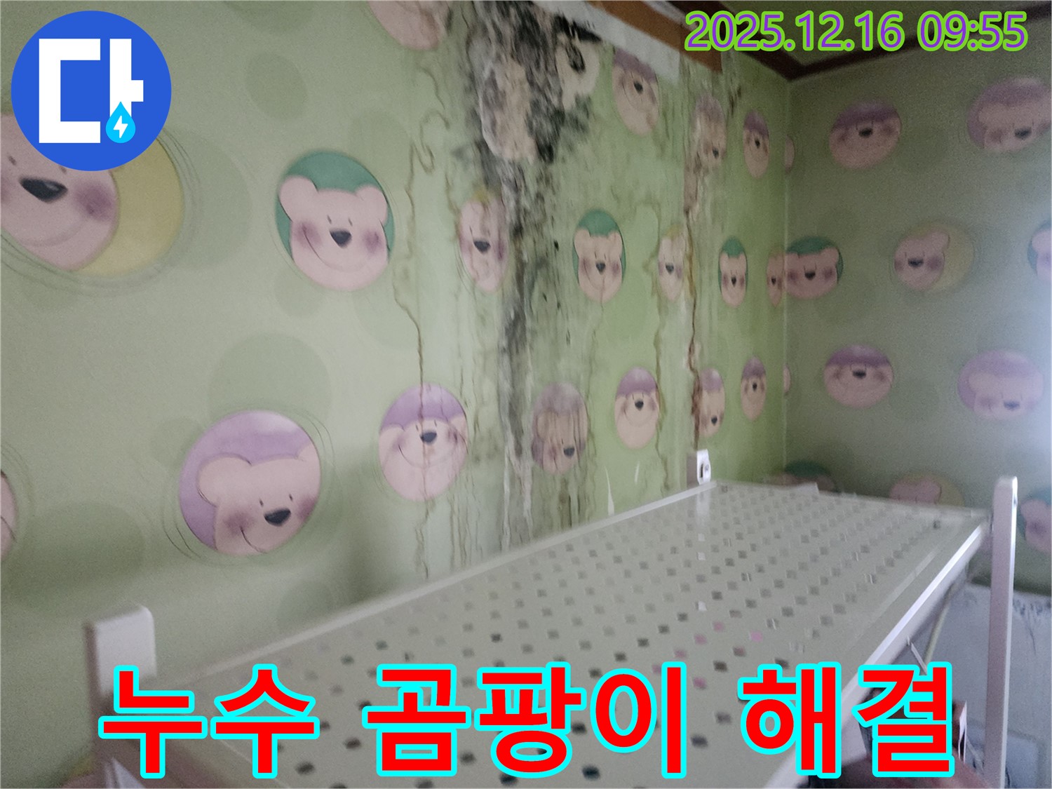 곰팡이로 뒤덮인 벽 - 누수 원인을 찾아 해결하고 곰팡이까지 깨끗하게 제거하여 안심할 수 있도록 시공했습니다.