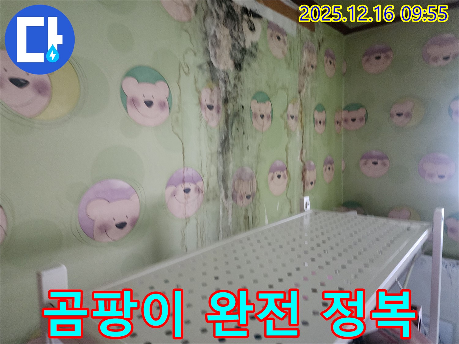 벽 곰팡이 - 누수 문제를 해결하고 곰팡이를 완전 정복하여 쾌적한 공간을 만들었습니다.