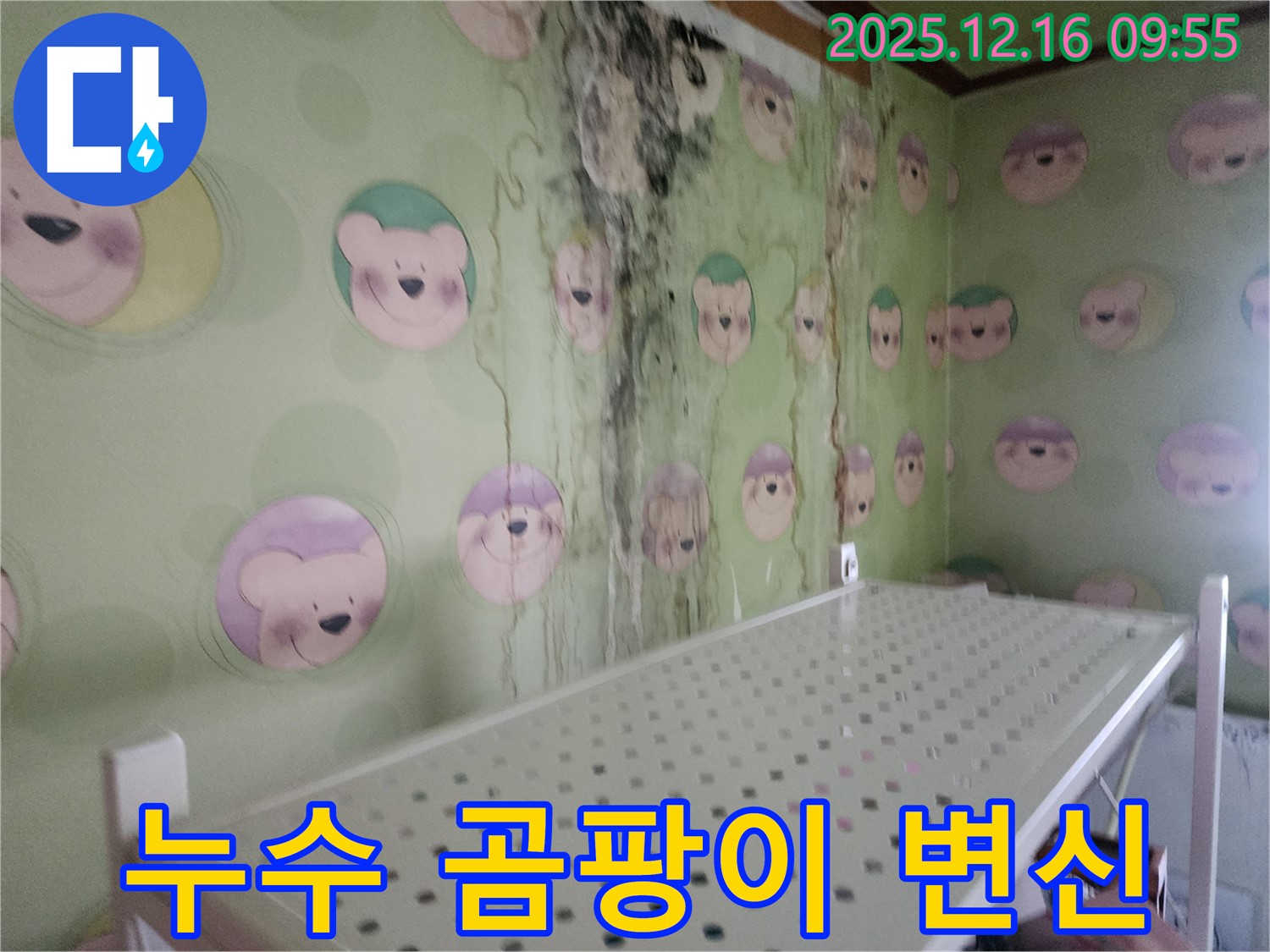 벽 곰팡이 - 누수 문제를 해결하고 곰팡이를 제거하여 깨끗한 집으로 변신시켜 드렸습니다.