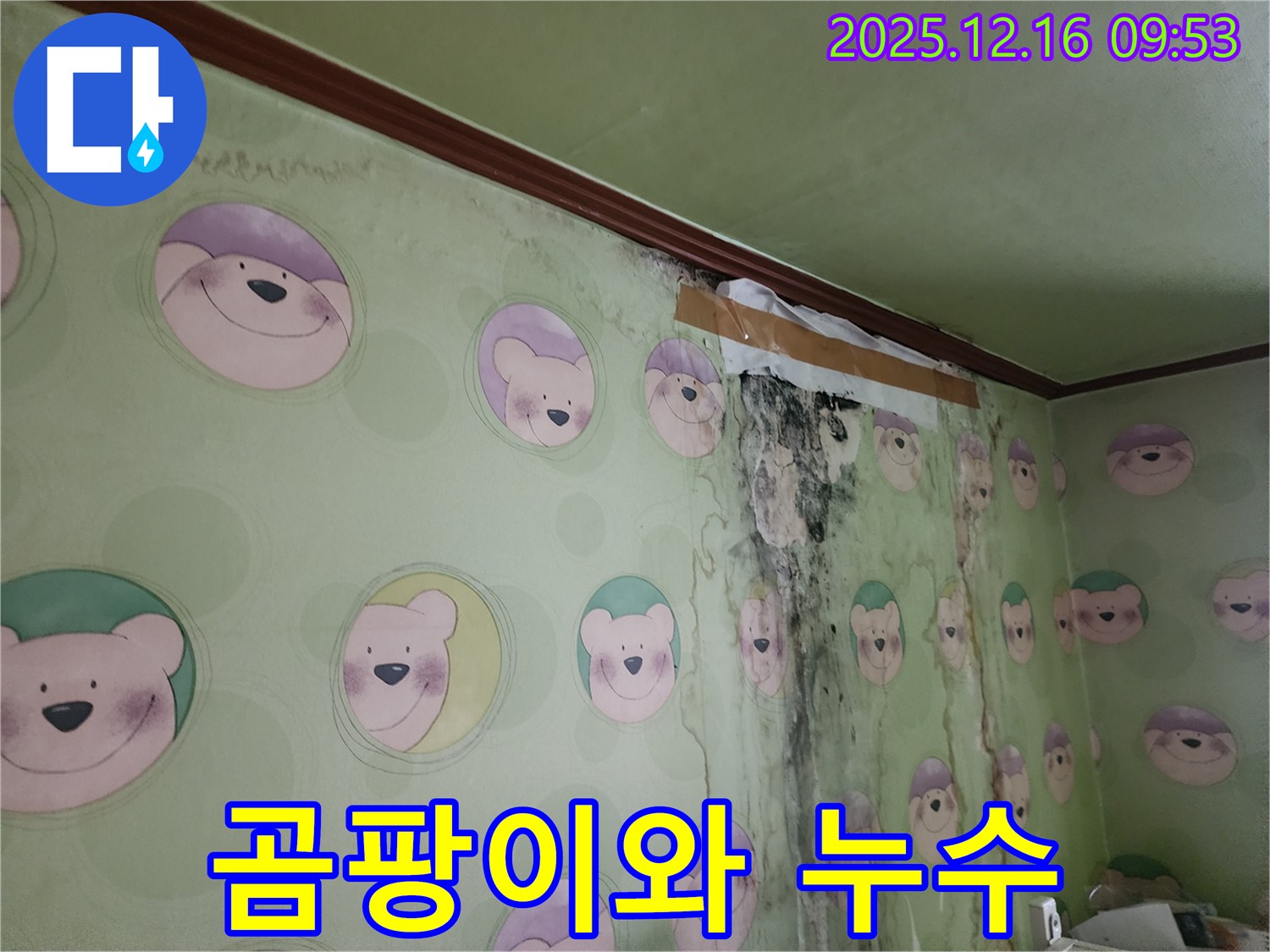 벽에 곰팡이가 피어 있고, 누수로 인해 벽지가 손상된 모습 - 누수와 곰팡이 문제를 동시에 해결해야 합니다.