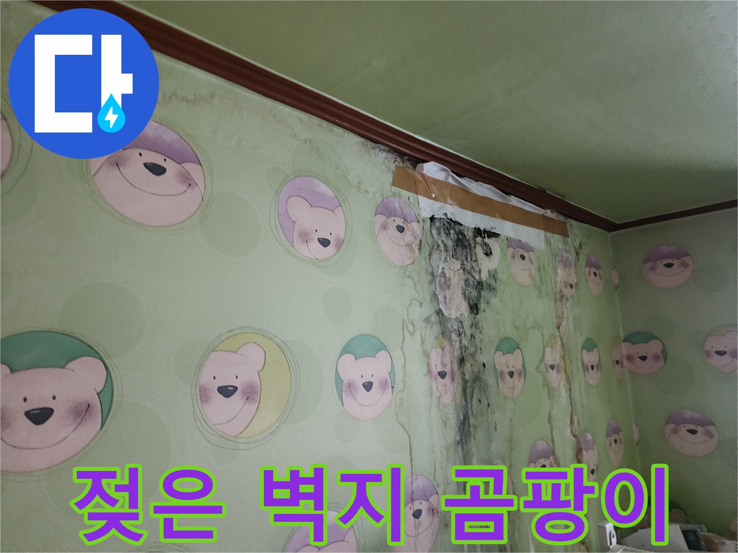 심하게 오염된 캐릭터 벽지와 곰팡이가 발생한 실내 벽면