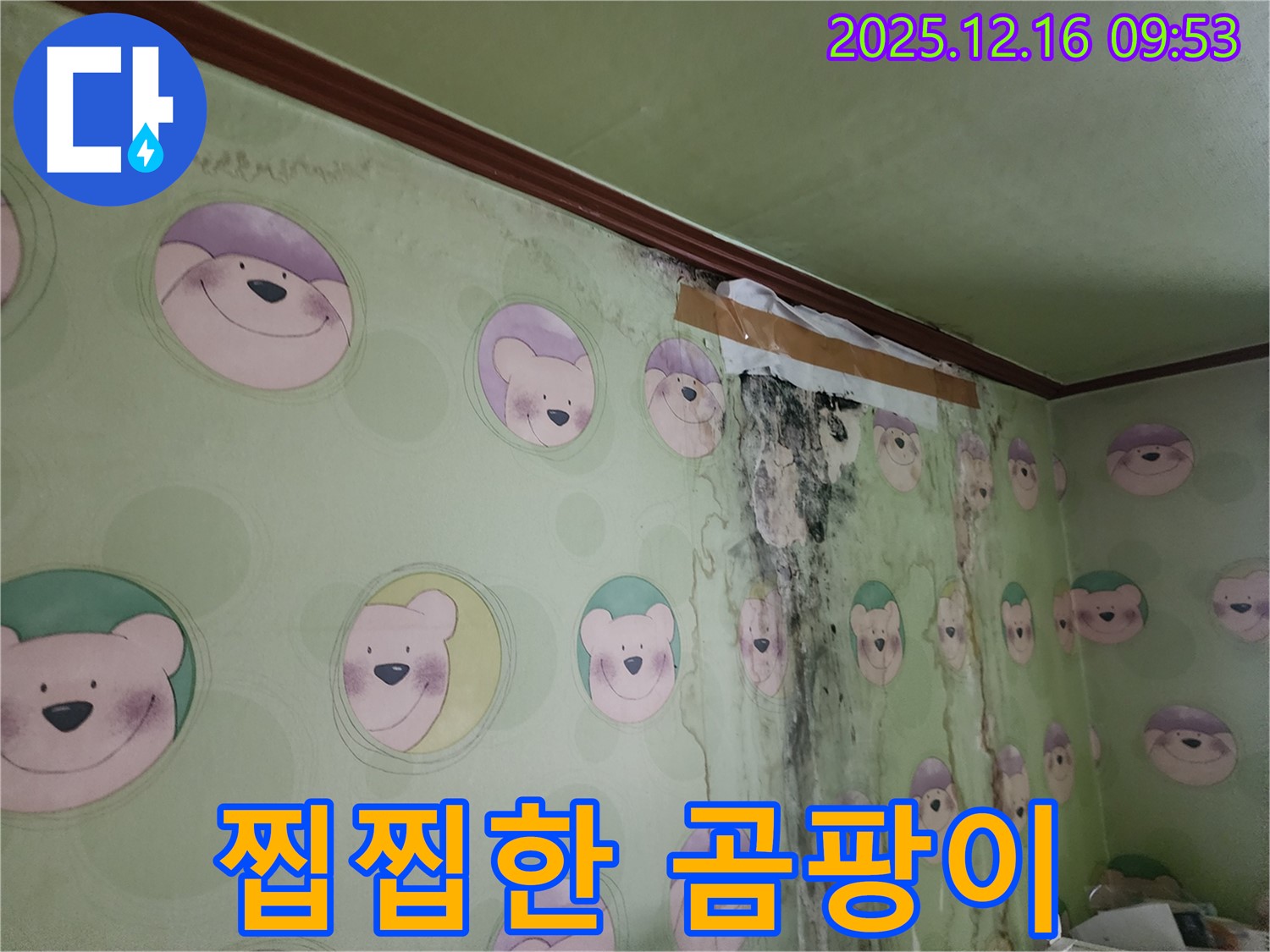 아이 방 곰팡이 때문에 찝찝한 기분으로 생활하는 모습 - 곰팡이 제거와 함께 산뜻하고 쾌적한 공간을 만들어 드립니다.