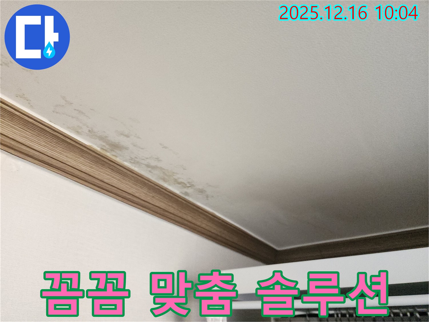운천리 곰팡이 천장 누수 - 꼼꼼한 진단과 맞춤 솔루션으로 누수 해결!