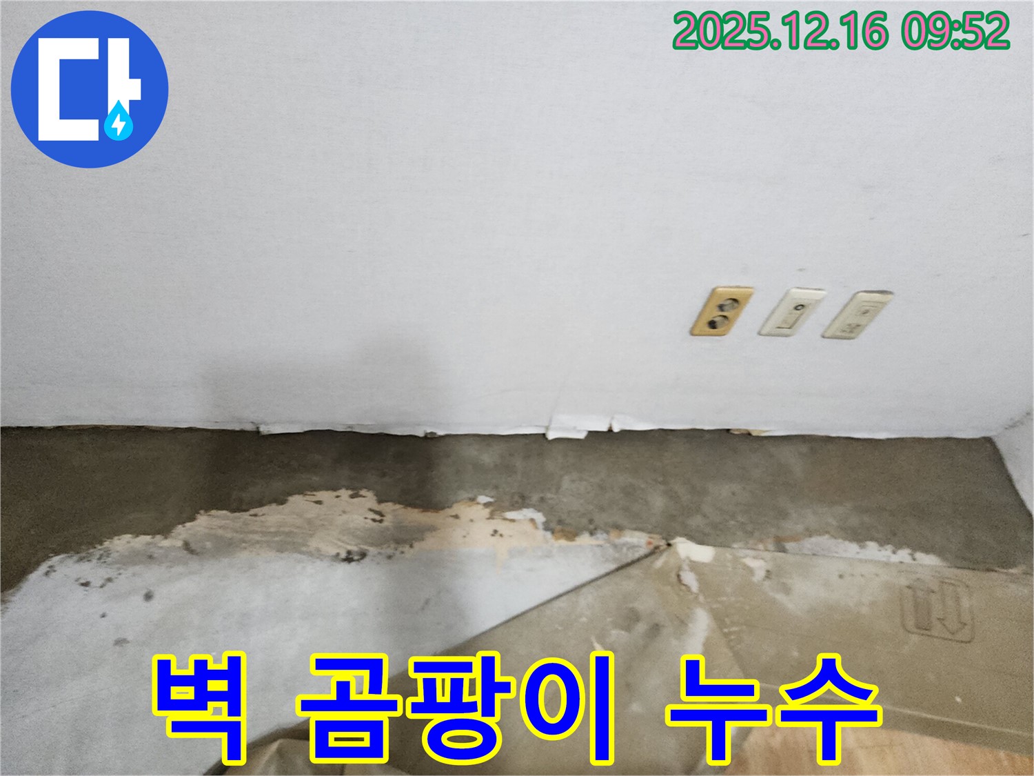 운천리 누수 현장 - 벽 곰팡이 문제 해결을 위한 누수 탐지부터 완벽 시공까지의 과정을 담았습니다.