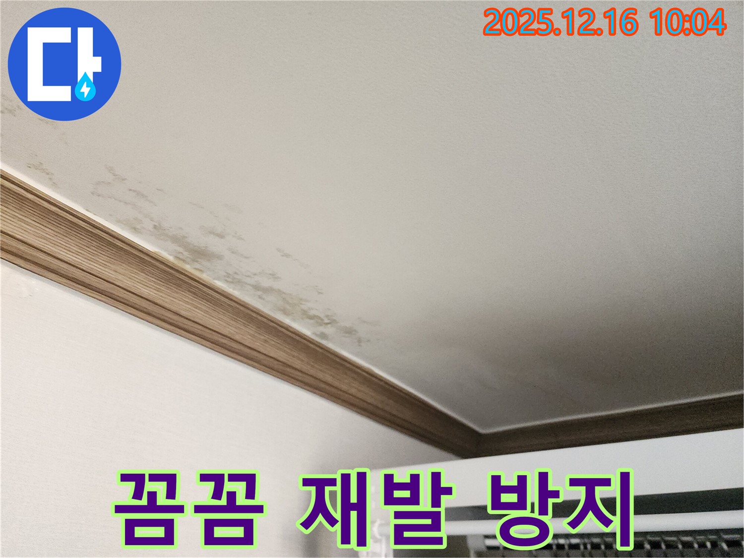포천 영북면 곰팡이 천장 - 꼼꼼한 시공으로 누수 재발 걱정 없이!
