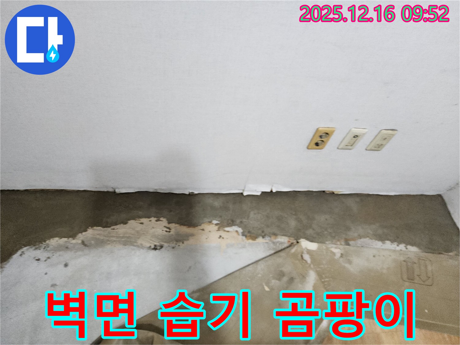 포천 영북면 누수 전문 업체 - 벽면 습기 및 곰팡이 제거를 위한 누수 탐지 및 공사 과정을 소개합니다.