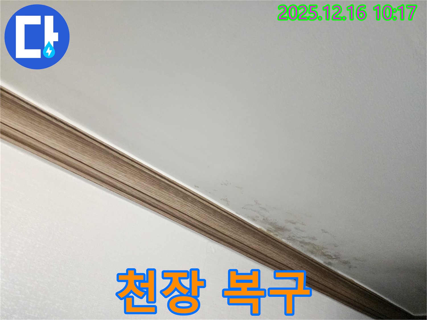 포천시 영북면 곰팡이 천장 복구 - 누수 해결과 천장 완벽 복구 과정