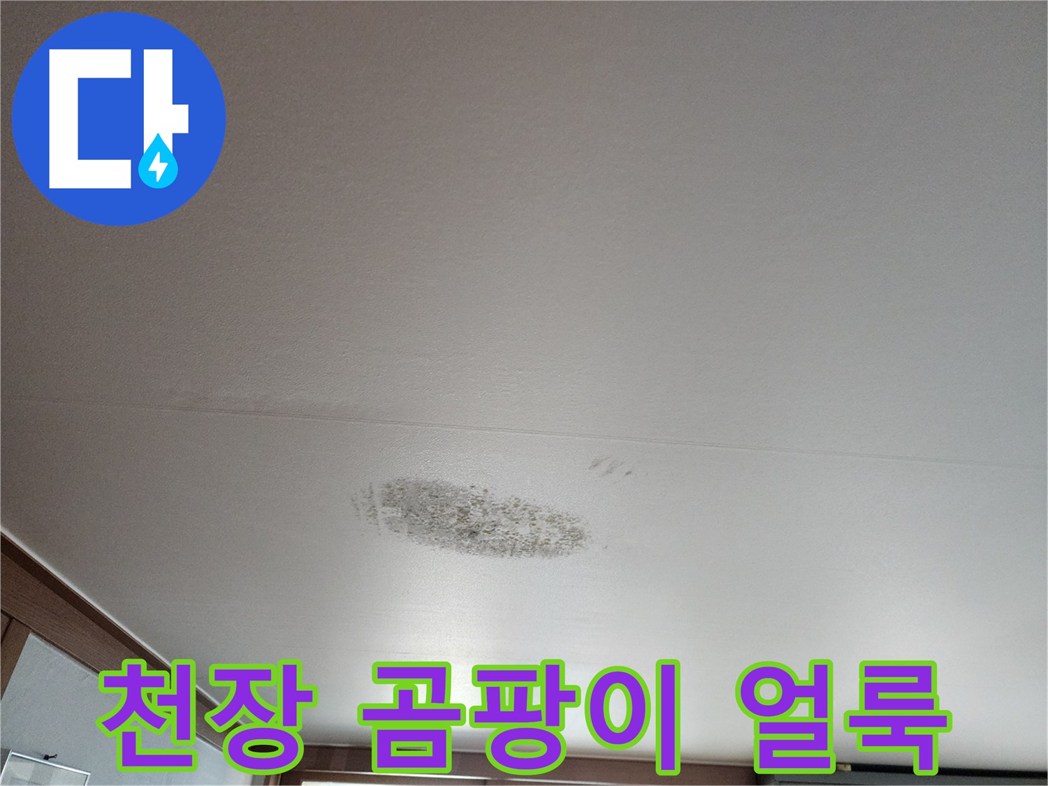 천장 마감재에 발생한 어두운 색의 곰팡이와 습기 흔적