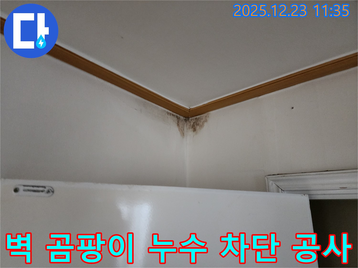 고암동 아파트 곰팡이 핀 벽 - 누수 차단 공사를 통해 쾌적한 환경으로 개선