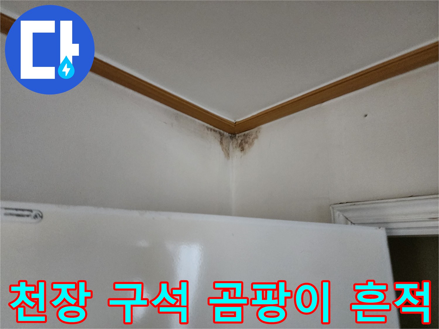 양주 고암동 현장의 천장 모서리 곰팡이 및 변색 상태