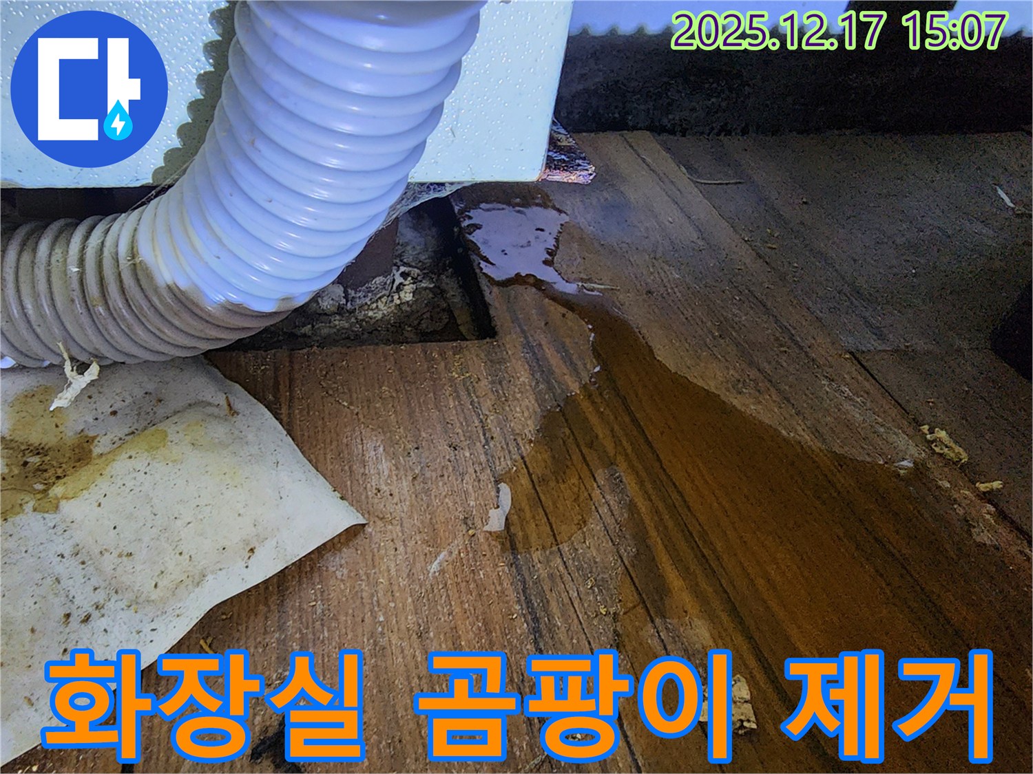 화장실 벽과 천장에 곰팡이가 심하게 피어 있습니다 - 누수로 인해 습기가 많아 곰팡이가 발생했습니다.