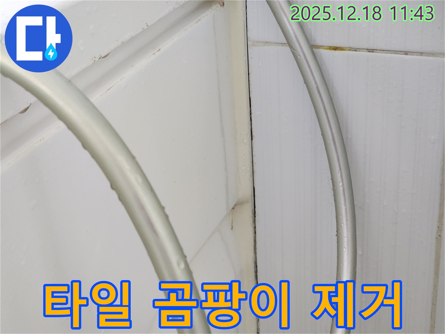 포천 영북면 가채리 타일 곰팡이 제거 - 실리콘 재시공으로 누수 해결