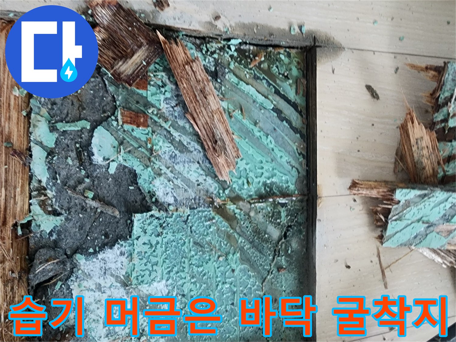 안산 고잔데동 아파트 누수 지점의 굴착 및 배관 노출 상태