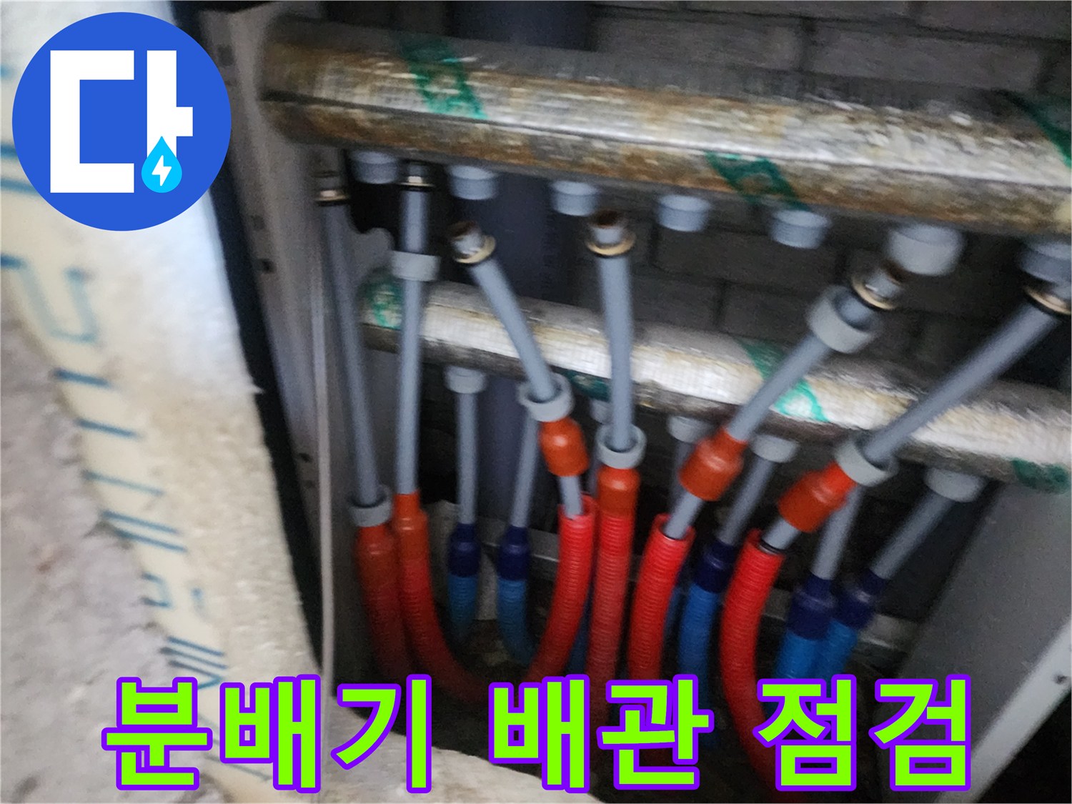 양주 삼숭동 아파트 분배기 내부의 빨간색과 파란색 이중관 배관 모습
