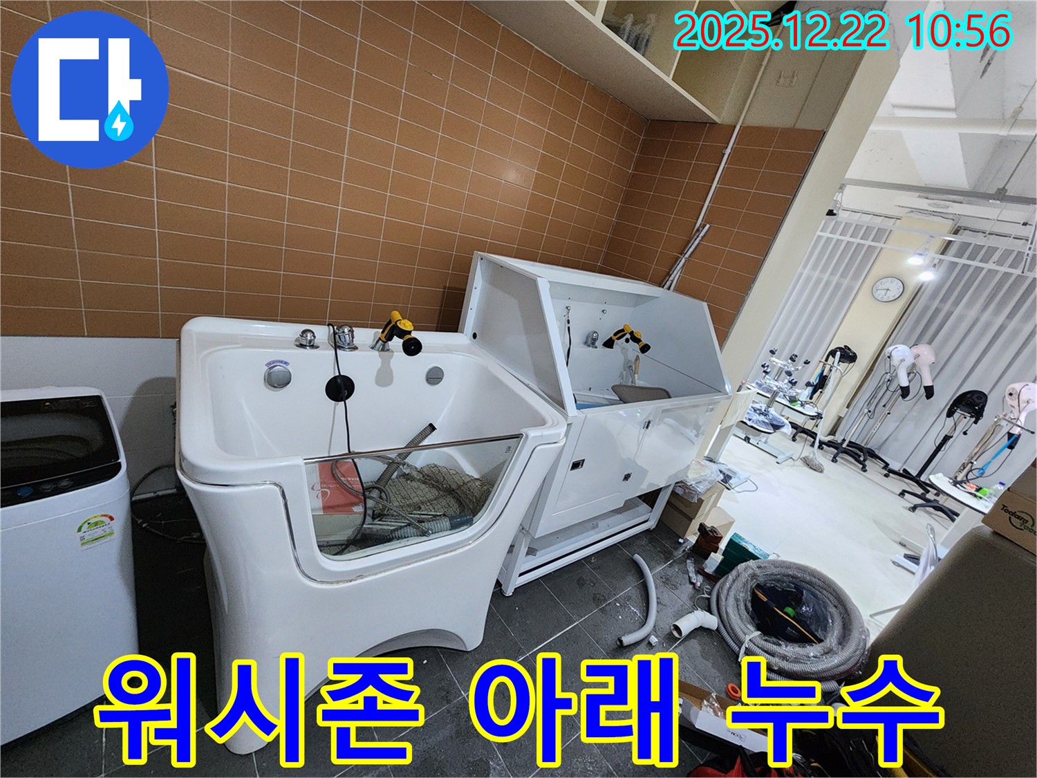 월계동 애견샵 대형견 워시존 아래 누수 해결 - 숨겨진 누수까지 완벽하게!