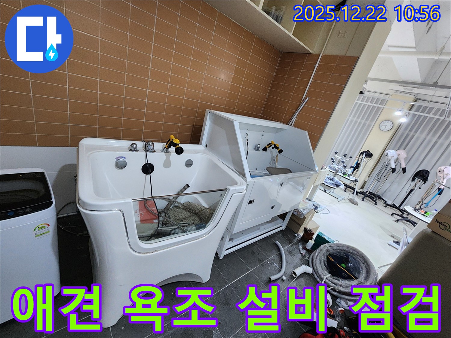 월계동에서 애견 욕조 설비 점검 및 누수 문제를 완벽하게 해결했습니다 - 처음부터 끝까지 책임 시공!