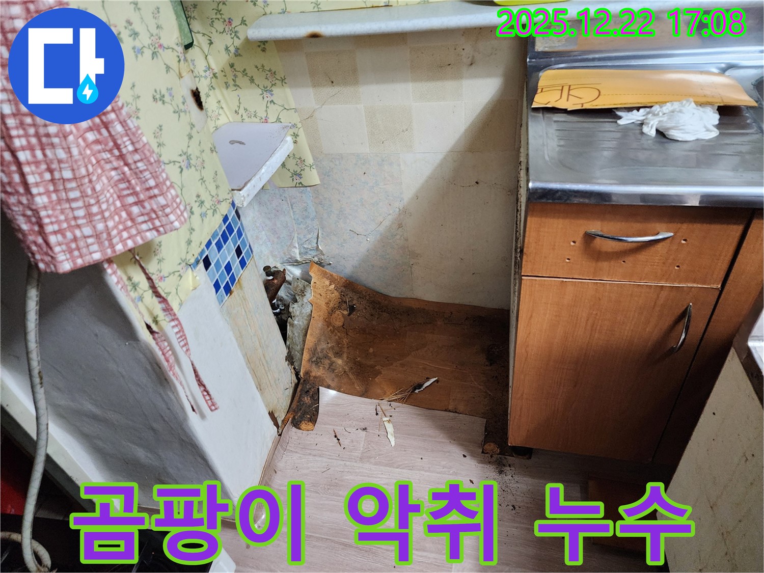 동두천 생연2동 누수 - 곰팡이와 악취를 동반한 누수 발생 - 첨단 장비로 정확하게 탐지합니다!