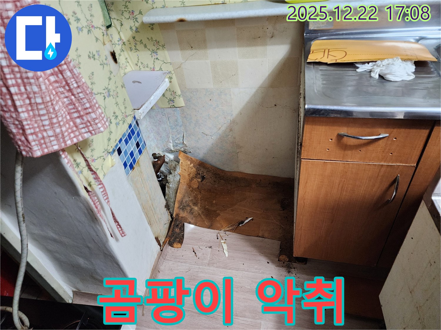 동두천 생연2동 주택 누수 - 곰팡이와 악취 발생 - 누수 원인 제거와 곰팡이, 악취를 완벽하게 제거해 드립니다!