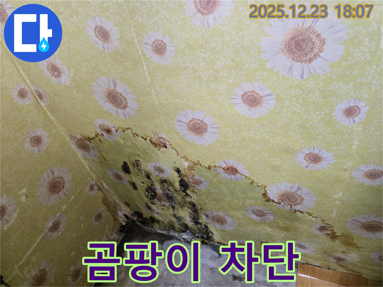 동두천 생연동 벽 누수 곰팡이 차단 - 완벽한 시공으로 곰팡이 걱정 없이 쾌적한 환경 유지.