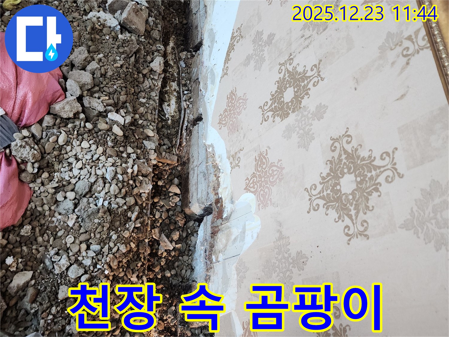 보산동 누수 - 천장 속 오염, 곰팡이와 습기가 만나 최악의 상황을 만들었습니다.