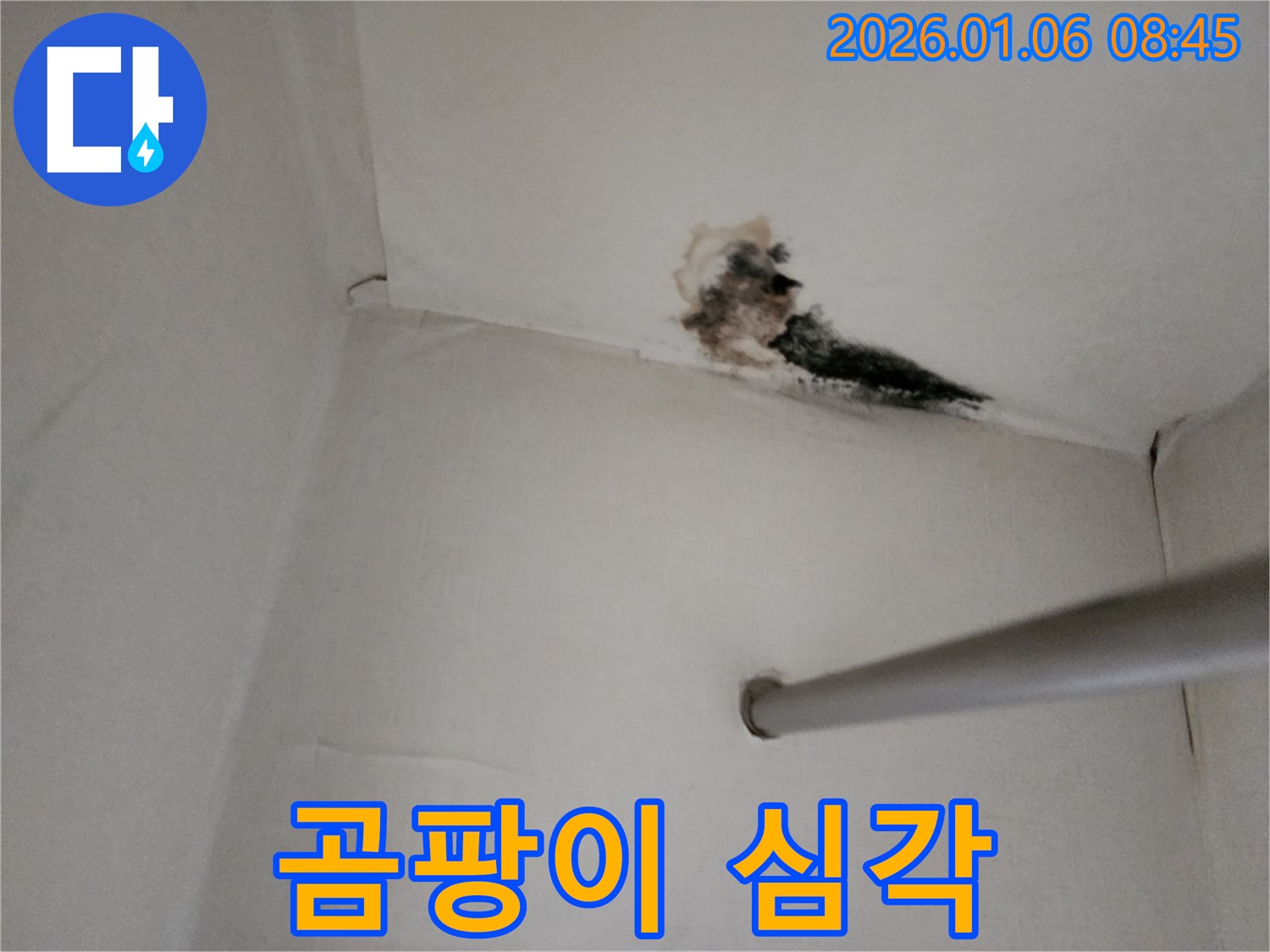 양주시 벽 모서리 누수 - 곰팡이가 심하게 발생한 벽 모서리
