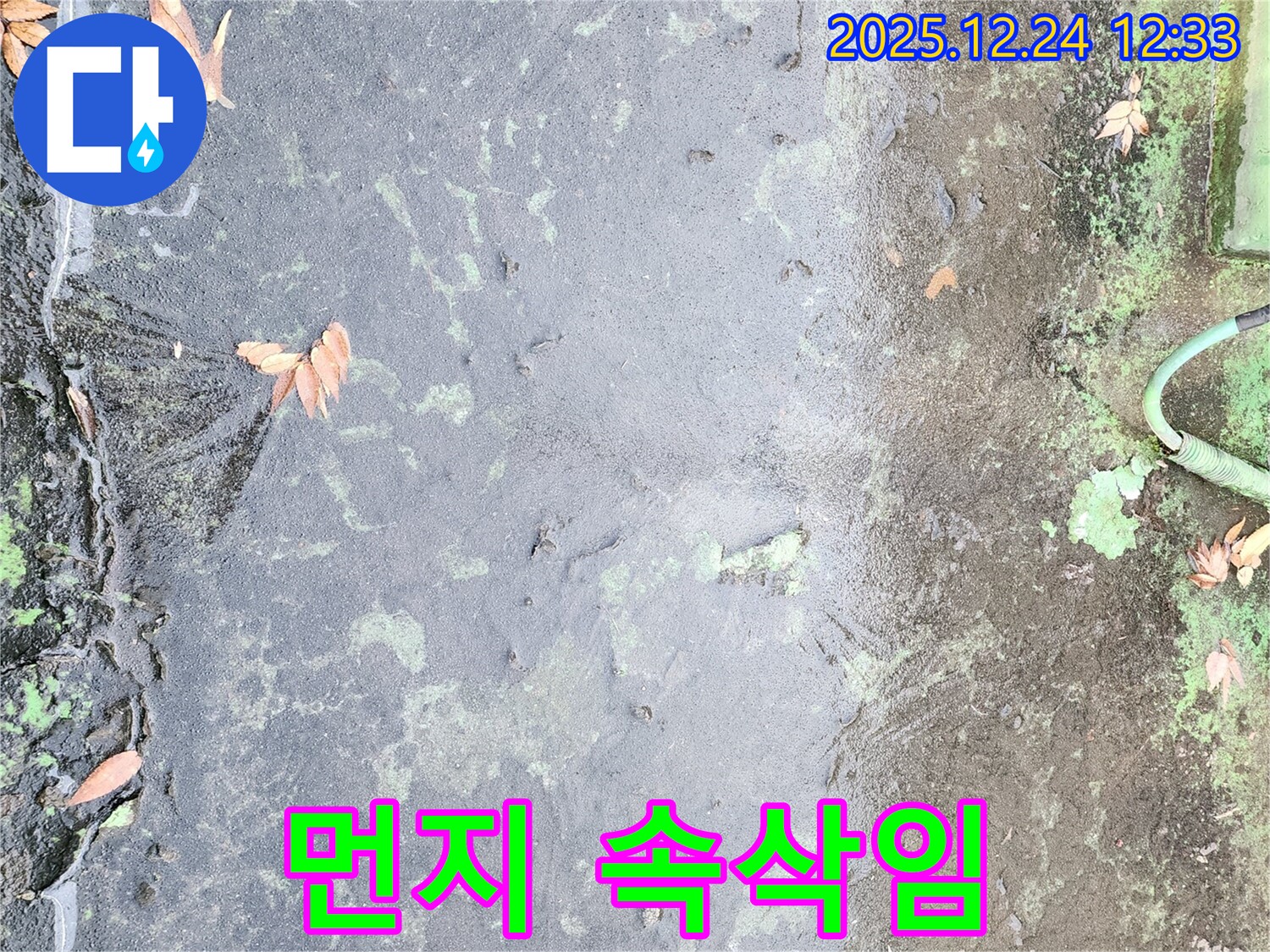 옥상 먼지 - 누수의 조용한 침입자