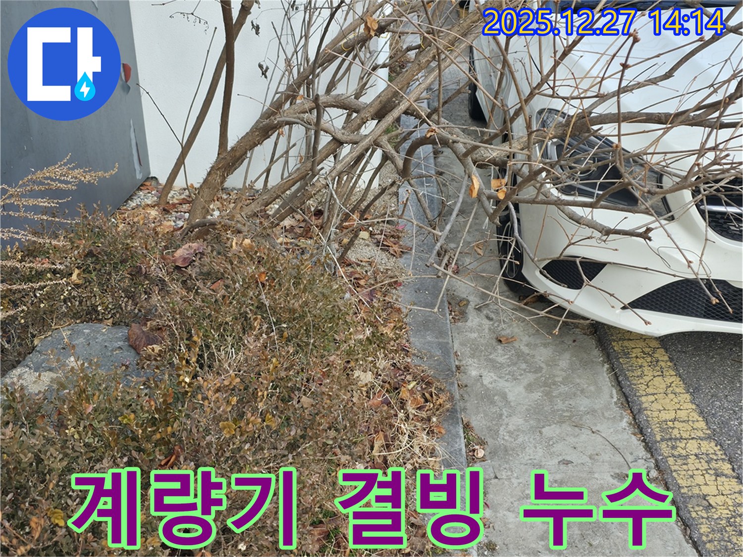 겨울철 단독 주택가 수도 계량기 결빙으로 인한 누수 - 신속한 누수 탐지와 꼼꼼한 보수 작업으로 안전을 확보했습니다.