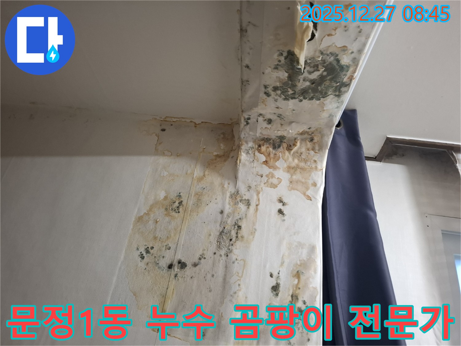 문정1동 누수 현장 - 곰팡이 문제 해결 전문가, 누수탐지 전문가의 경험