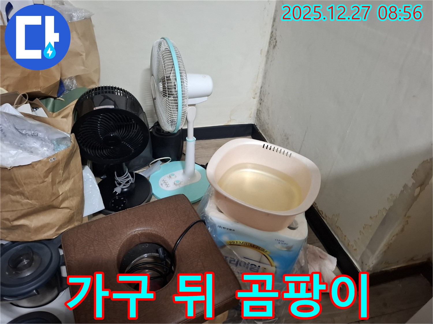 송파구 삼전동 누수 현장 - 가구 뒤에 숨어있는 곰팡이를 찾아내는 모습입니다 - 꼼꼼한 탐색.