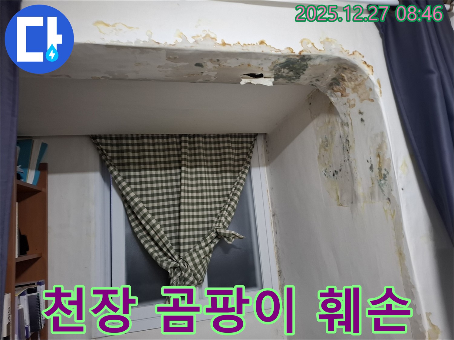 송파구 석촌동 - 곰팡이와 훼손된 천장 - 누수 의심