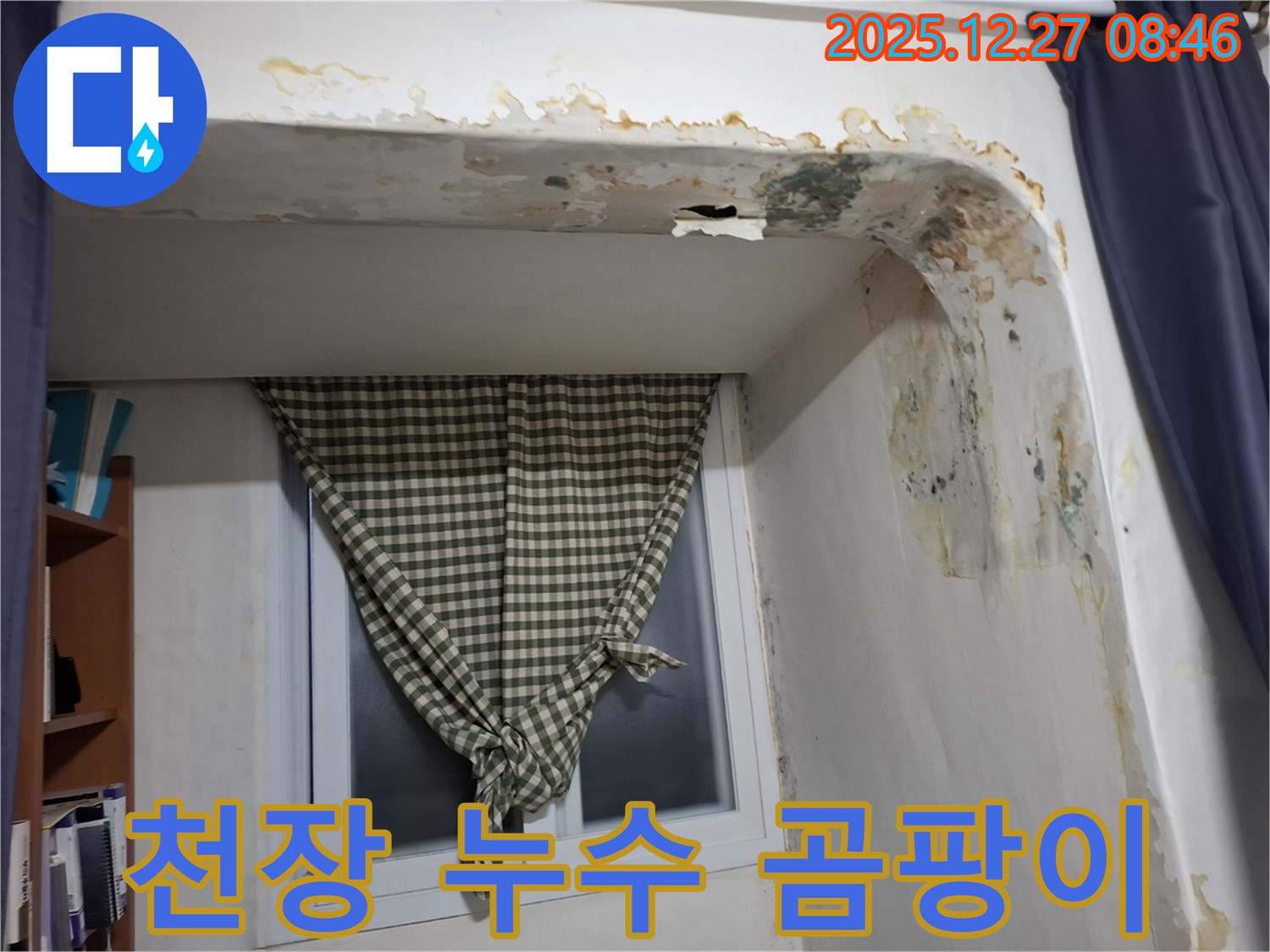 송파구 풍납동 천장 누수 - 곰팡이 발생으로 인한 누수 피해 현장