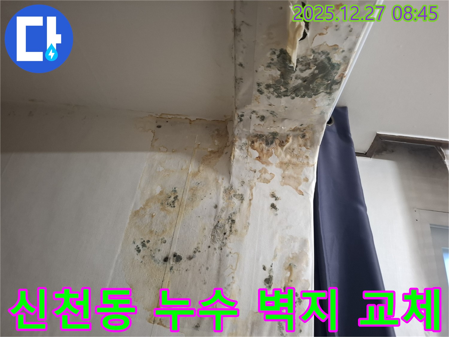 신천동 누수 현장 - 곰팡이 슨 벽지 교체 및 방습 시공, 누수탐지 전문가의 쾌적한 공간 만들기